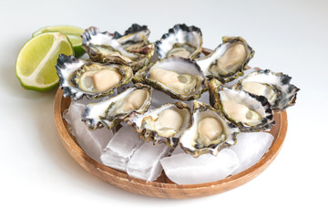 Freshly shucked Sydney Rock Oyster