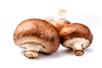 Royal Agaricus (Agaricus bisporus, or Portobello) lying on a whi