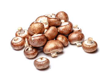 Royal Agaricus (Agaricus bisporus, or Portobello) lying on a whi