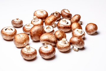 Royal Agaricus (Agaricus bisporus, or Portobello) lying on a whi