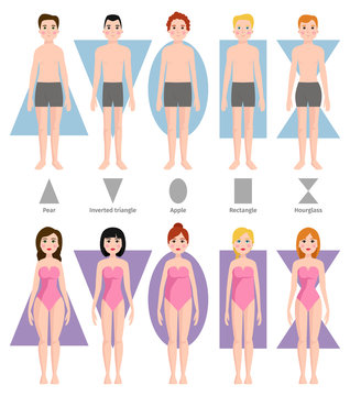 Vector illustration of different body shape types.