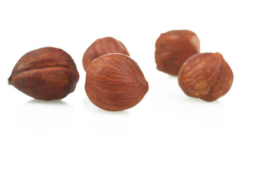 Hazelnut isolated on a white background.