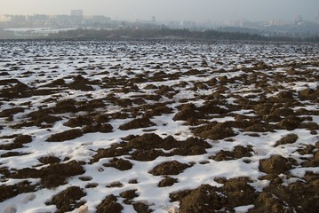 frozen field with snow in the winter