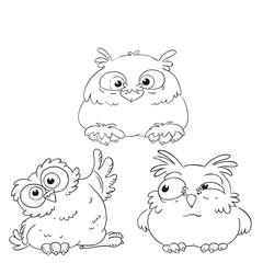 Collection of funny owls coloring book. Forest birds vector.