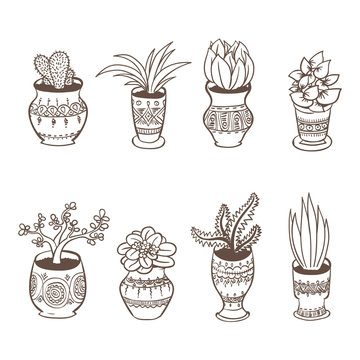 Home plants in pots. Vector line art set