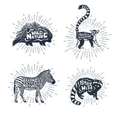 Hand drawn textured vintage badges set with porcupine, lemur, zebra, and raccoon vector illustrations, and inspirational lettering.