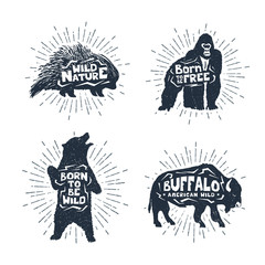 Hand drawn textured vintage badges set with porcupine, gorilla, bear, and buffalo vector illustrations, and inspirational lettering.