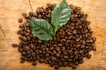 Photo of coffee beans and leaf