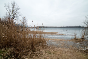  Lake San Daniele in the grip of ice - Winter in Friuli