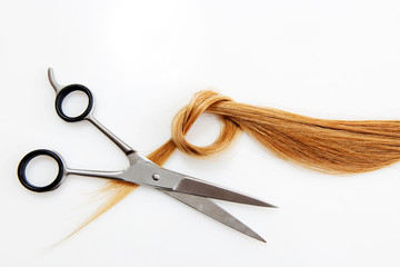 Hairdressing scissors with blonde hair. Isolated.