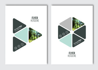 Flyer layout template. Vector brochure background with elements for magazine, cover, poster, layout design. A4 size.