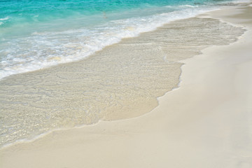 Surf line with the oncoming wave and yellow sand