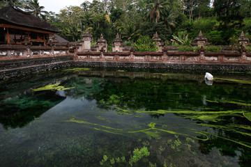 Fototapeta na wymiar special pool for holy spring water temple Puru Tirtha Empul in Tampak Siring. Bali, Indonesia.