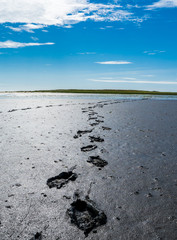 Wattenmeer mit Fußspuren