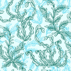 Naklejka premium Collection of marine plants, leaves and seaweed. Vintage seamless pattern with hand drawn marine flora. Vector illustration in line art style.