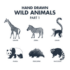 Hand drawn textured wild animals icons set with giraffe, zebra, lemur, panda, porcupine, and raccoon vector illustrations. © SlothAstronaut