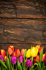Bouquet of colorful tulips on rustic wooden planks