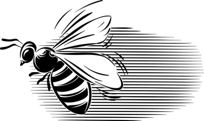 Bee flying in the blue sky