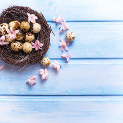 Decorative Easter eggs  in nest and tender pink flowers