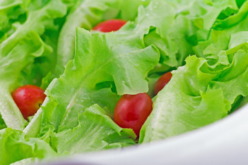Close Up Fresh Salad