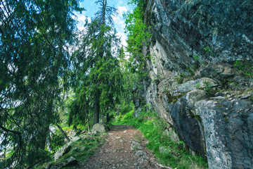 Fototapeta premium Mountain landscape with trail and green meadow