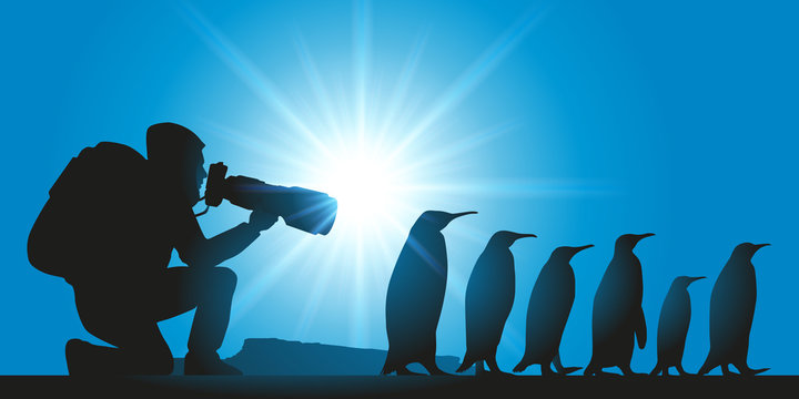 Pingouins - photographe - Manchot - iceberg