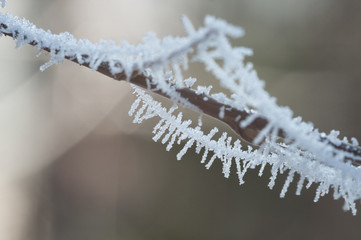 Eiskristalle II