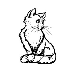 hand drawn ink cat on white background. design for adults, poster, print, t-shirt, invitation, banners, flyers. sketch. vector eps 8.