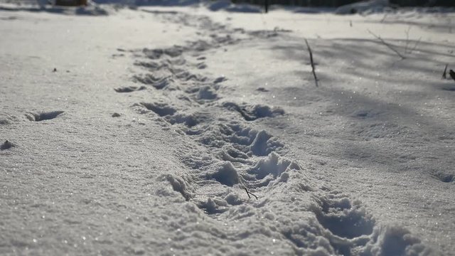 human nature footprints in the snow winter landscape path lot of snow