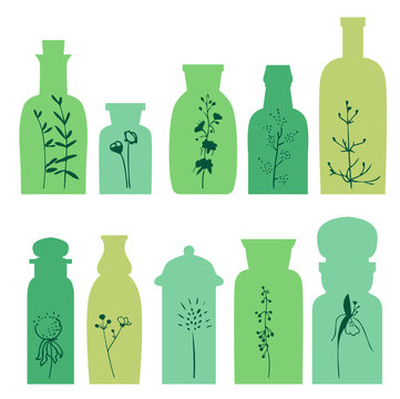 Set with small vintage bottles. Silhouette of plants.