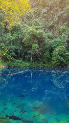 Lom Phu Kiew is an emerald pool at Lampang province.