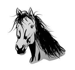 Light gray horse head