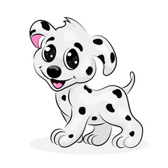 Fototapeta premium dalmatian cute dog at the white background