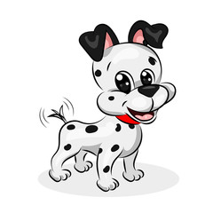 Fototapeta na wymiar dalmatian cute dog at the white background