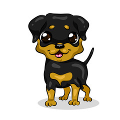 cute rottweiler dog at the white background