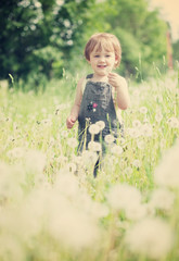 Two-year  girl in  dandelion plant