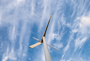 Wind turbine alternative energy clean