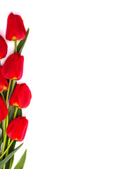 Bouquet of red tulips on white background with space for text. Top view. Flat lay.