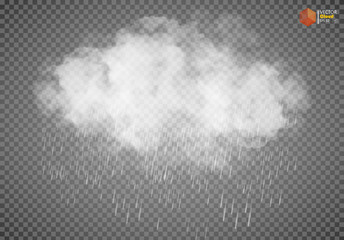 Rain and white cloud isolated on transparent background. Vector
