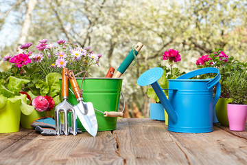 Outdoor gardening tools on old wood table