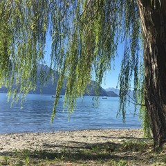 Largo di comer - unter der Weide