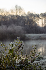 Отражение в воде