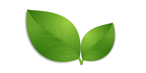 green leaves icon