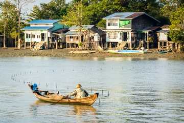Obraz premium Burmese fisherman netting fish in a river near Yangon, Irrawaddy delta, Myanmar