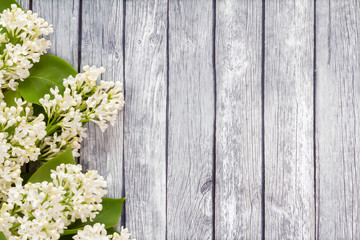 White flowers on a wooden background.