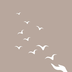 Let go birds. Concept art. Freedom. Fly again.