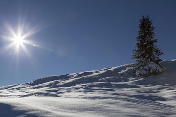 Winter am Dobratsch, Kaernten