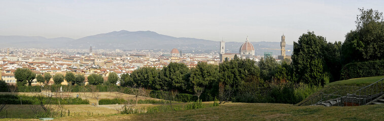 Fototapeta na wymiar panoramic view of florence