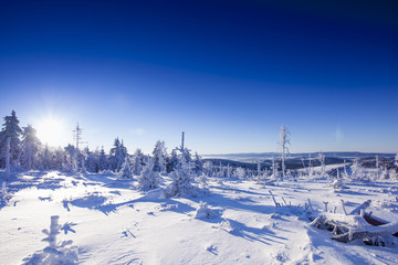 Fototapeta na wymiar Krajobraz Zimowy