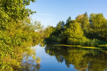 River with trees on the shore